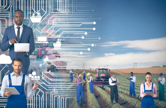 Blockchain Technology in Agriculture: Improving Supply Chain Records